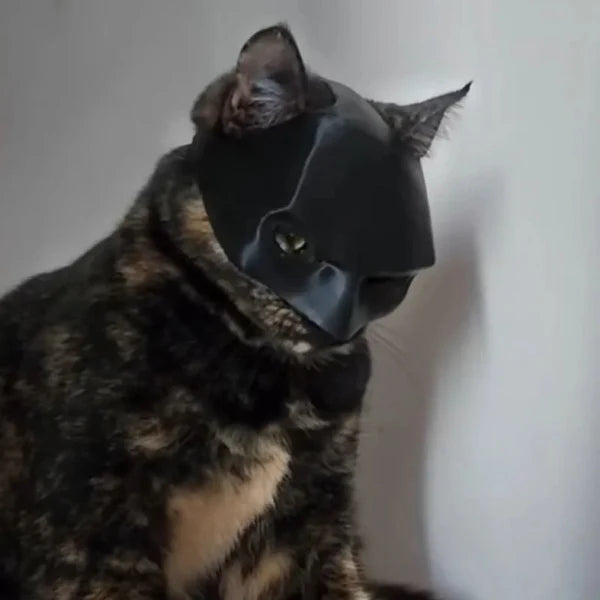 BATCAT™ - Batman Kedi Maskesi